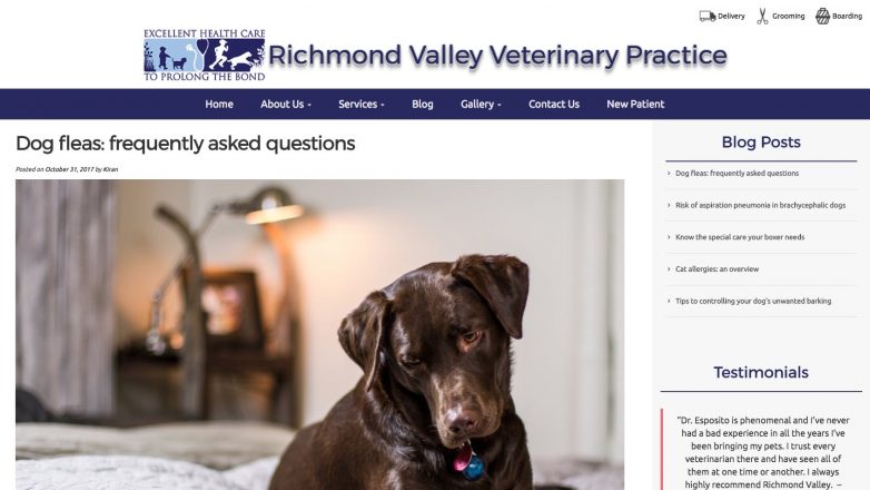 Richmond Valley Veterinary Practice